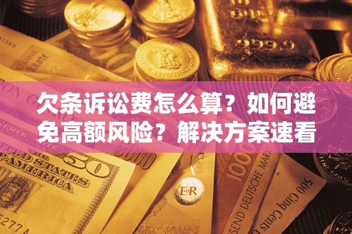 北京欠条诉讼费怎么算？如何避免高额风险？解决方案速看！