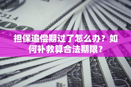 北京担保追偿期过了怎么办？如何补救算合法期限？