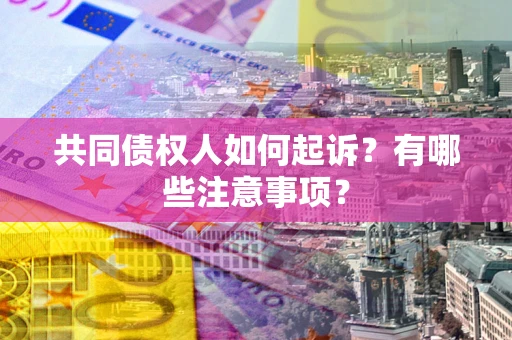 北京共同债权人如何起诉？有哪些注意事项？
