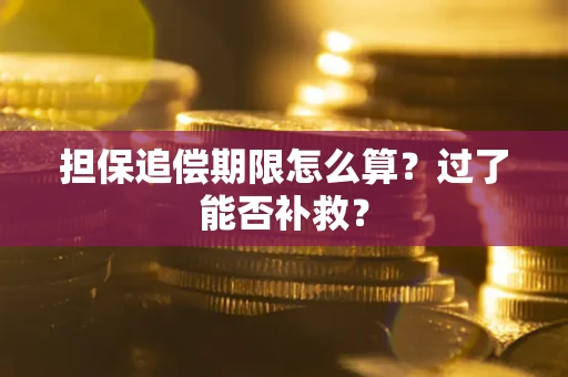 北京担保追偿期限怎么算？过了能否补救？
